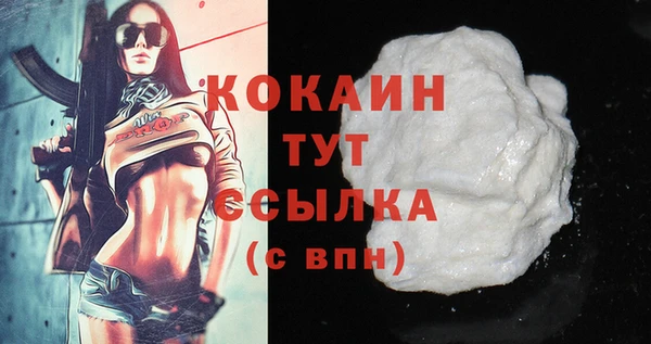 эйфоретик Арсеньев